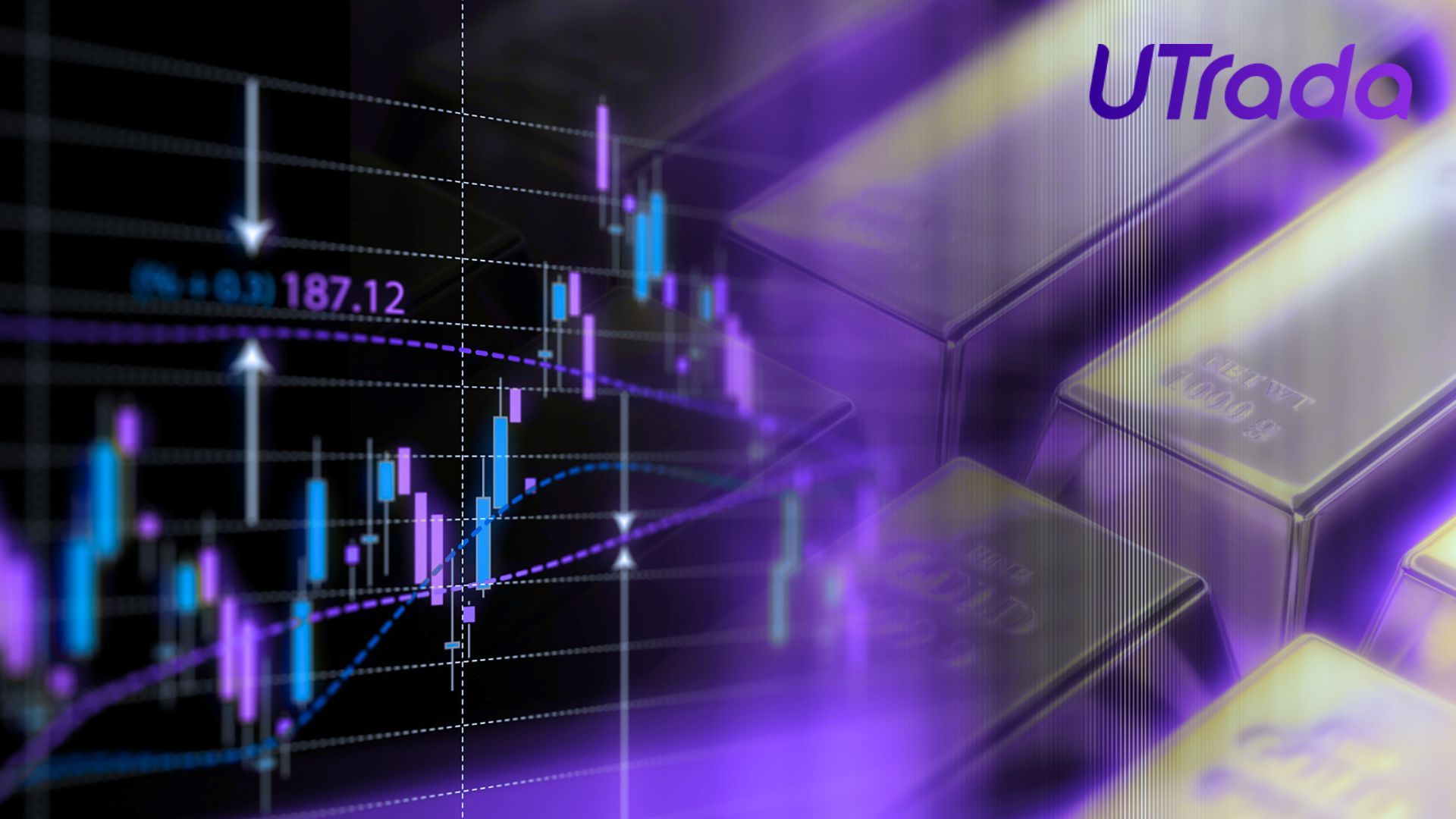 How to Choose the Right Commodity Trading Platform: 7 Tips